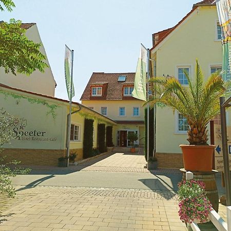 Hotel Speeter Weisenheim am Berg Extérieur photo